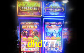 Live Casino dhd777